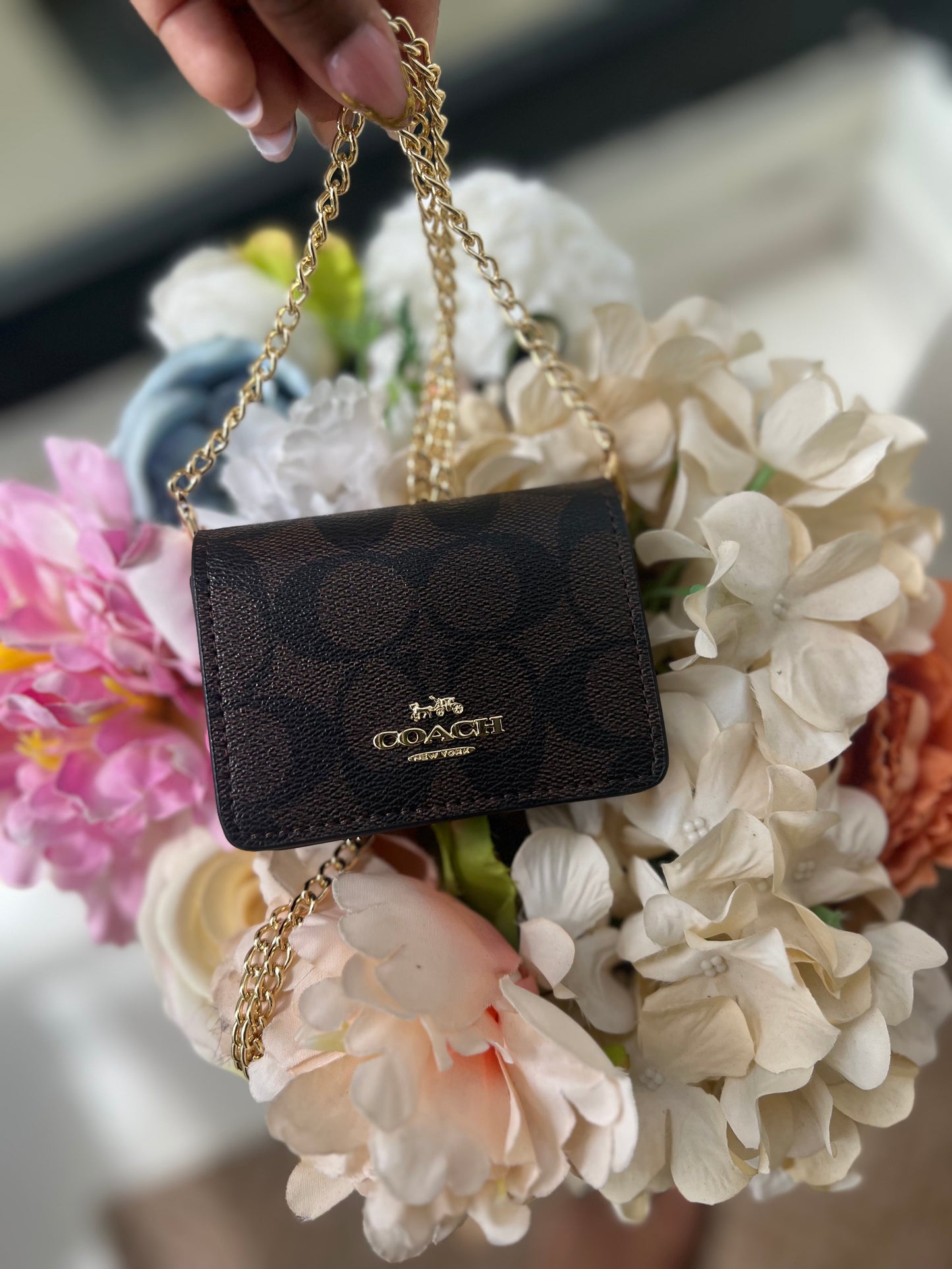 Mini Wallet Coach Brown