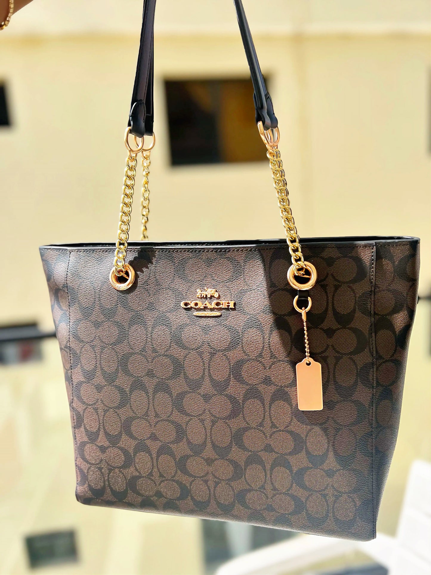 Coach Camille Chain Tote