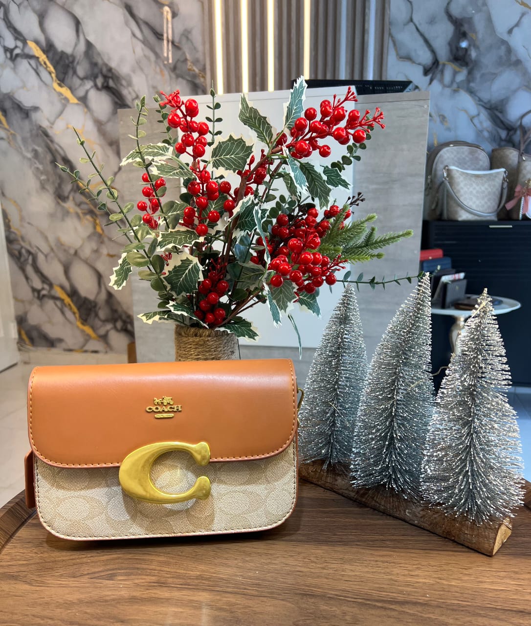 Brown Coach/Crossbody