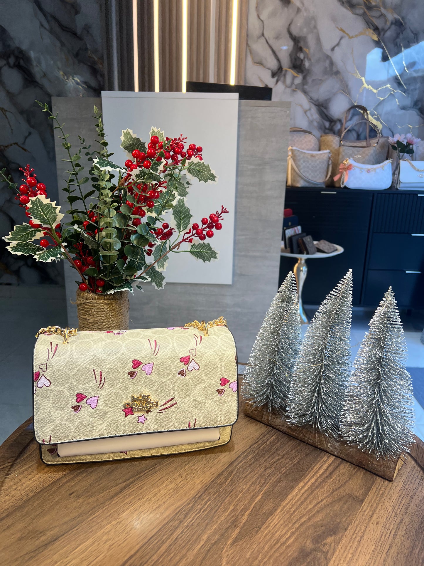 Coach Blanca/ Crossbody