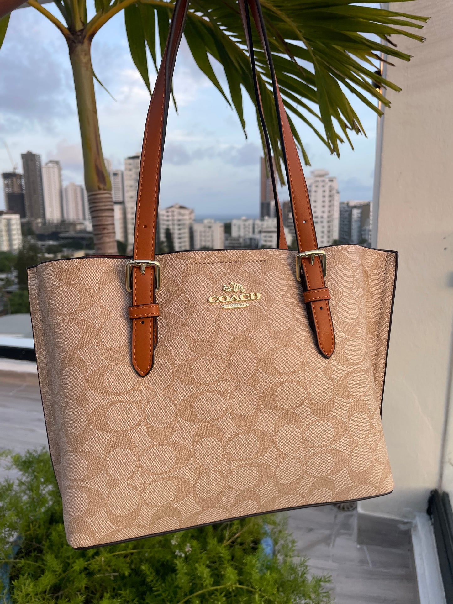 Coach Marrón Y Beige