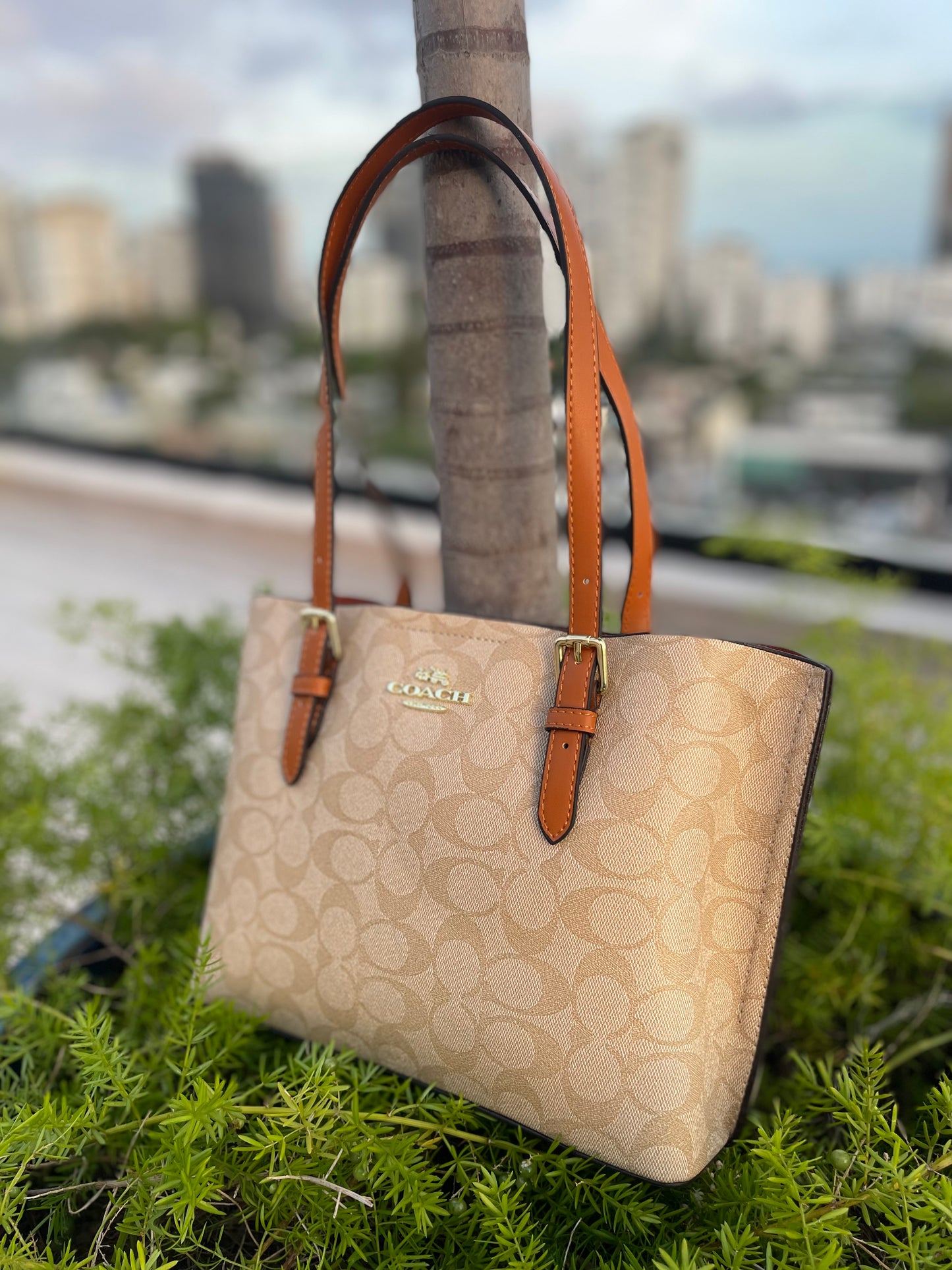 Coach Marrón Y Beige