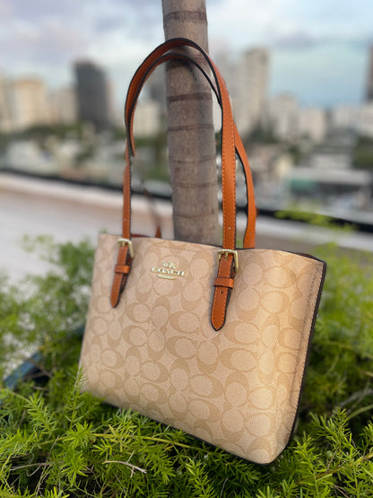 Coach Marrón Y Beige