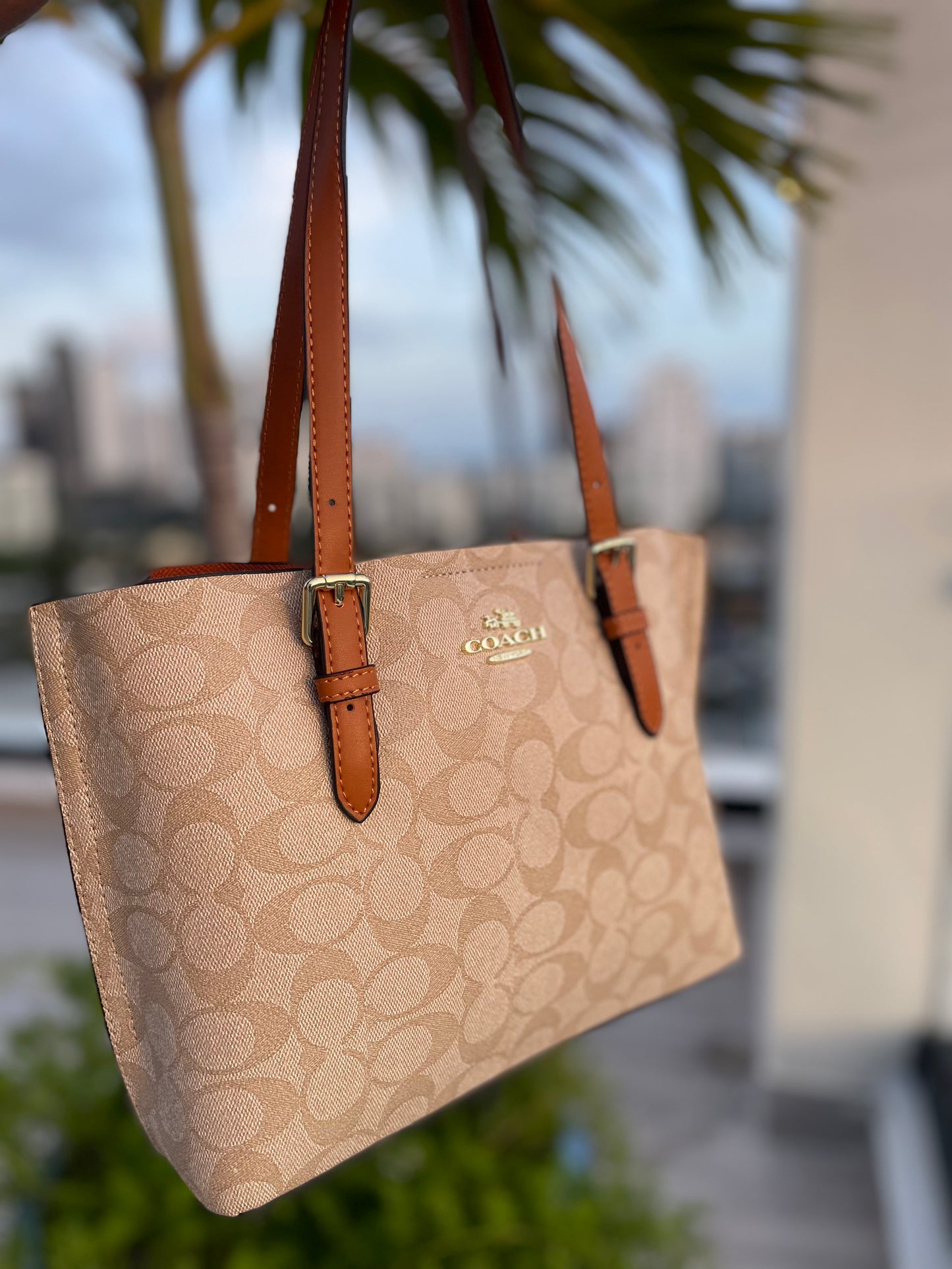 Coach Marrón Y Beige