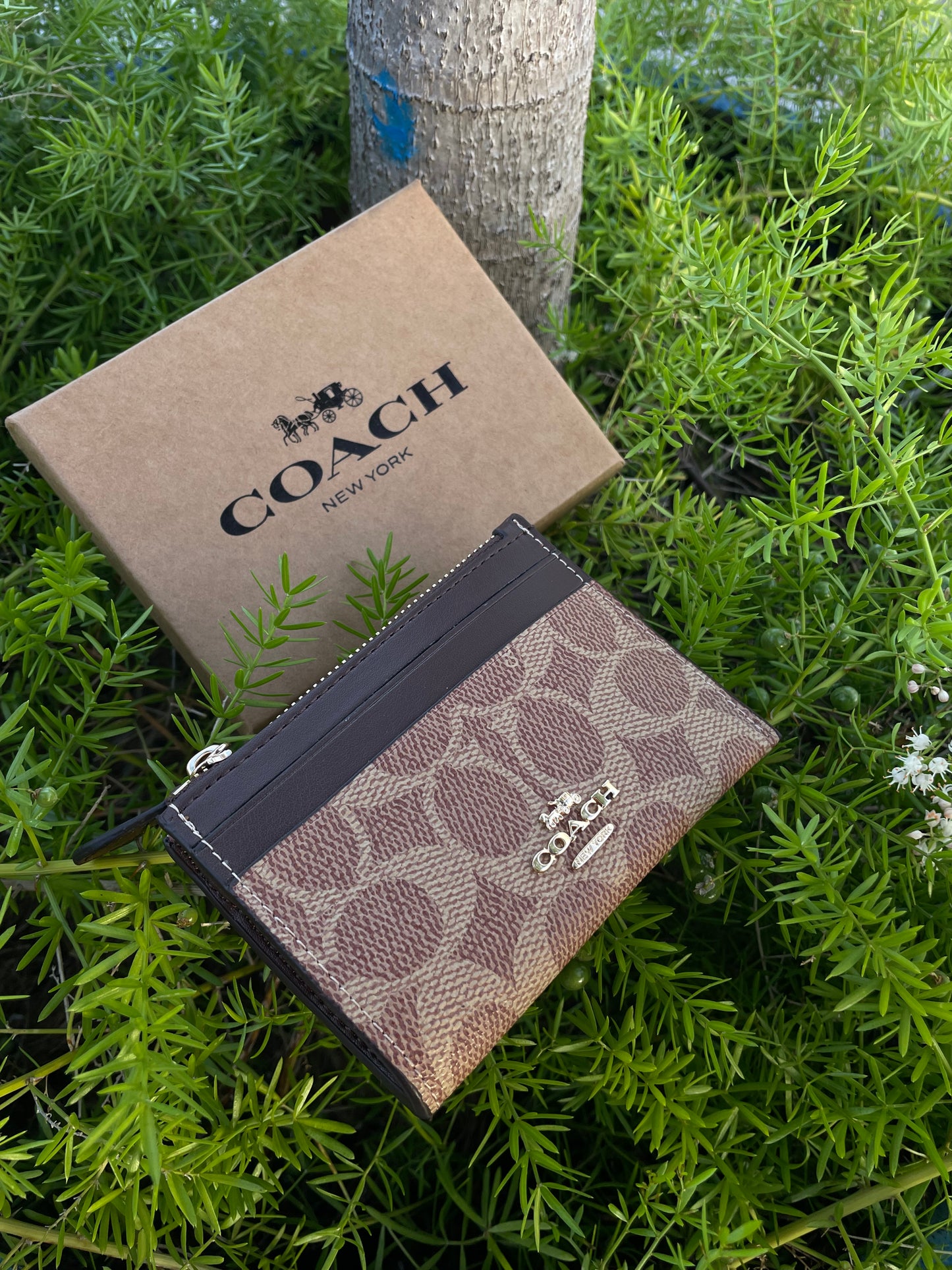 Tarjetero Coach OG