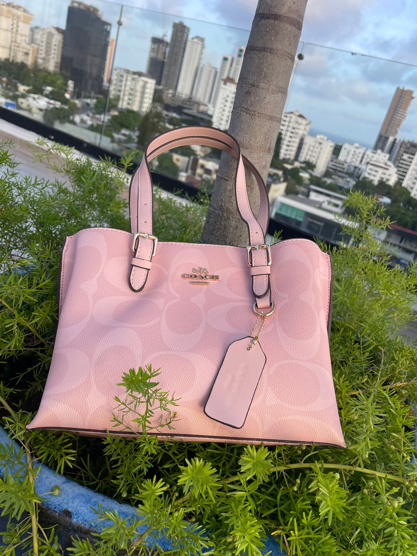 Molly 25 Rosa Crossbody (DISPONIBLE POR ENCARGO)