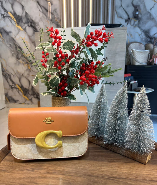 Brown Coach/Crossbody