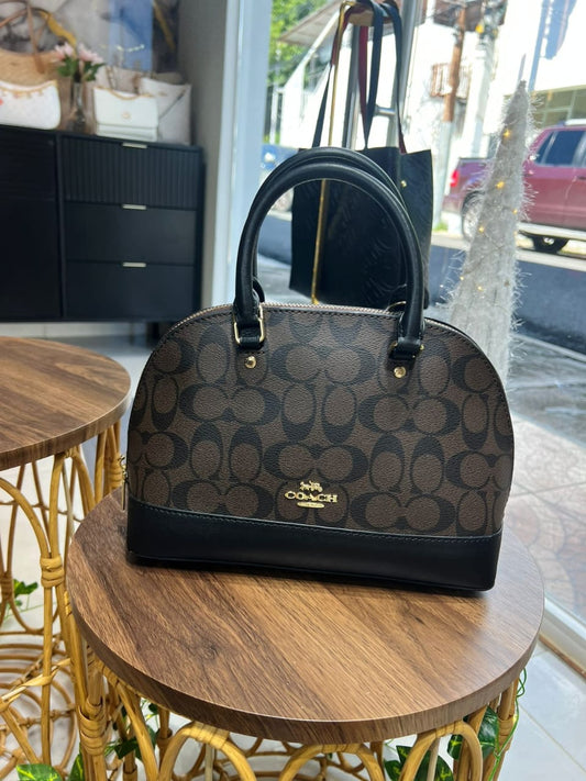 Brown and Black Coach/ Mini