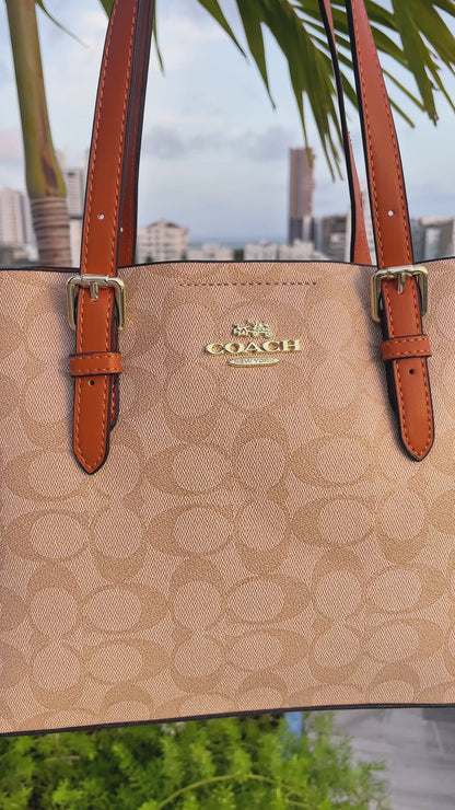 Coach Marrón Y Beige